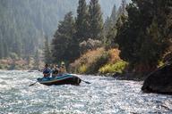 rafting-river-water-sport-882399.jpg