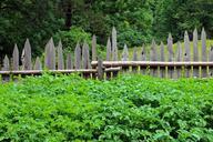 fence-garden-fence-wood-wood-fence-402217.jpg