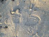 shoe-footprint-sand-beach-527467.jpg