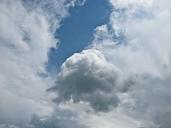 sky-clouds-cumulus-summer-color-388178.jpg