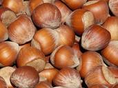 nut-nuts-hazelnuts-shell-brown-65292.jpg