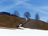 alpine-way-spring-snow-reste-away-670295.jpg