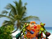 holiday-luggage-palm-trees-beach-1172433.jpg