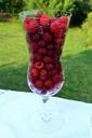 raspberry-dessert-fruit-berry-red-446430.jpg