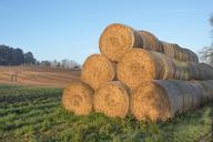 straw-straw-bales-round-bales-578635.jpg