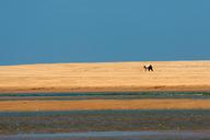 beach-sand-dune-water-person-379604.jpg