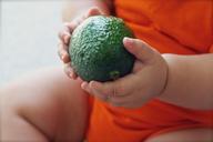 avocado-fruit-baby-food-diet-1476494.jpg