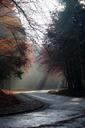 autumn-morning-sunbeam-mood-road-1024120.jpg