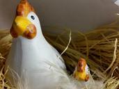 easter-nest-chicken-chicks-spring-633590.jpg