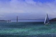 san-francisco-california-bridge-733511.jpg