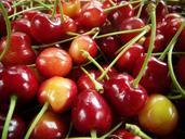 cherries-red-macro-fruit-sweet-497723.jpg