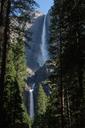 yosemite-waterfalls-forest-park-1223085.jpg