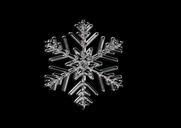 ice-crystal-ice-form-frost-fabric-528528.jpg