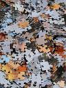 puzzle-unfinished-mess-unresolved-55886.jpg