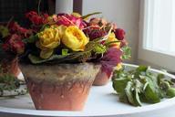 still-life-flowerpot-decoration-912942.jpg