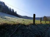 fence-freezing-ripe-frozen-515828.jpg