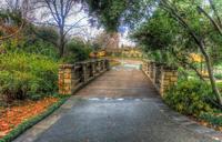 bridge-arboretum-footbridge-garden-656889.jpg