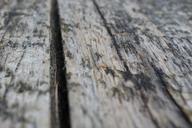 board-wood-grain-old-texture-491689.jpg