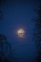 full-moon-moon-moonlight-mystery-508328.jpg