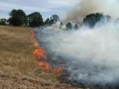 Summer fire low field vegetation in flames.jpg