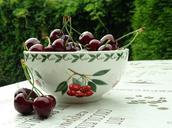 cherries-garden-frisch-fruits-849070.jpg