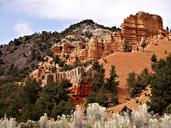 zion-national-park-utah-usa-red-52880.jpg