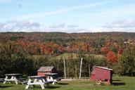 apple-orchard-vermont-food-red-1218494.jpg