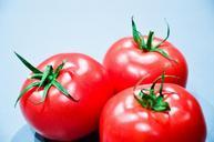 tomatoes-vegetables-healthy-food-932716.jpg