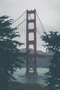 golden-gate-bridge-san-francisco-801845.jpg