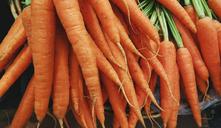 carrots-vegetable-food-fresh-1082251.jpg