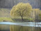 pond-landscape-water-more-river-963057.jpg