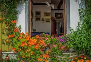 cinque-terre-italy-flowers-340580.jpg