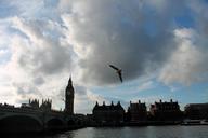 big-ben-thames-sky-london-bird-273931.jpg