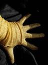 fingers-glove-gold-shadow-417767.jpg