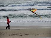 beach-kite-kite-flying-fun-flying-1272425.jpg