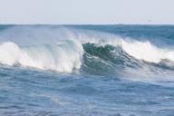 ocean-flood-sea-wave-water-spray-571340.jpg