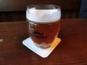 beer-glass-refreshment-thirst-385201.jpg