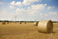 straw-bales-nature-field-600405.jpg