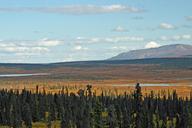 alaska-forest-mountain-mountains-67830.jpg