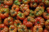 tomatoes-organic-fruit-744019.jpg