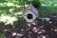 birdhouse-garden-bird-house-750709.jpg