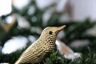 christmas-ornaments-bird-gold-1025817.jpg