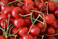 cherries-fruit-garden-cherry-838033.jpg