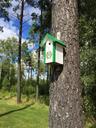 forest-tree-birdhouse-hammarby-1613648.jpg