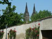 prague-flowers-roses-1000181.jpg