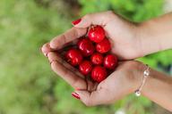 cherries-handful-red-ripe-fresh-1082136.jpg