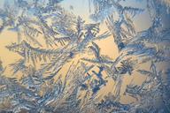 snow-crystals-winter-frosty-frozen-1622053.jpg