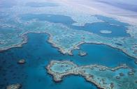 great-barrier-reef-coral-australia-527987.jpg