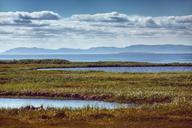 lake-marsh-water-landscape-nature-828939.jpg