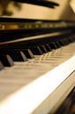 piano-grand-piano-music-218367.jpg